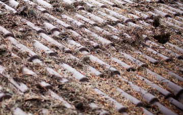 West Stoke roof cleaning companies