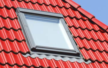 roof windows West Stoke